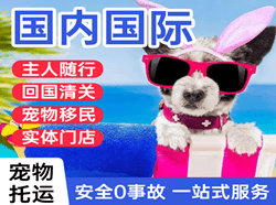 巴中恩阳机场物流国际宠物托运 【国